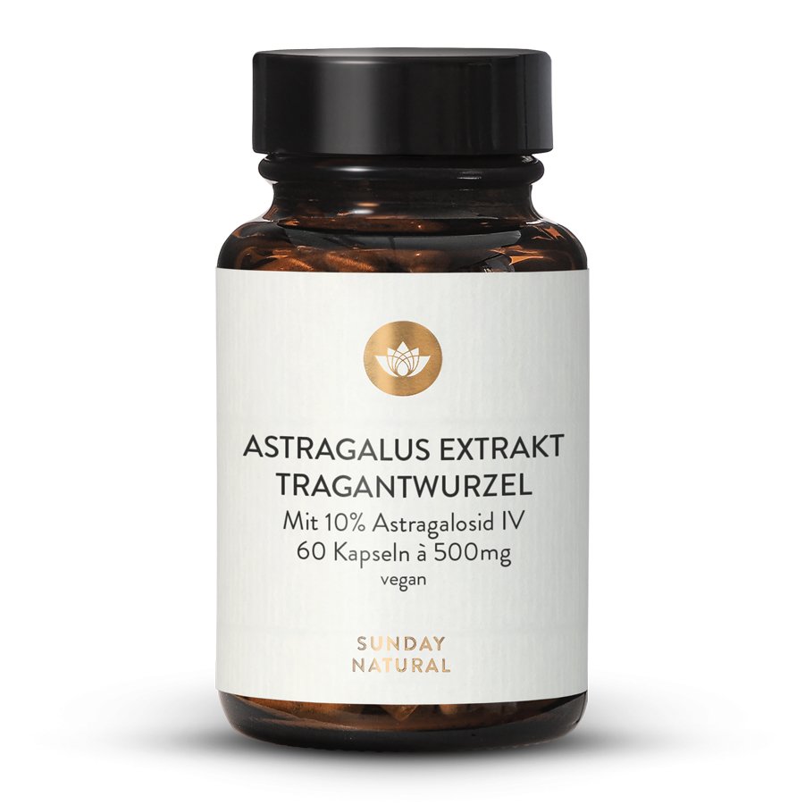 Astragalus Tragant