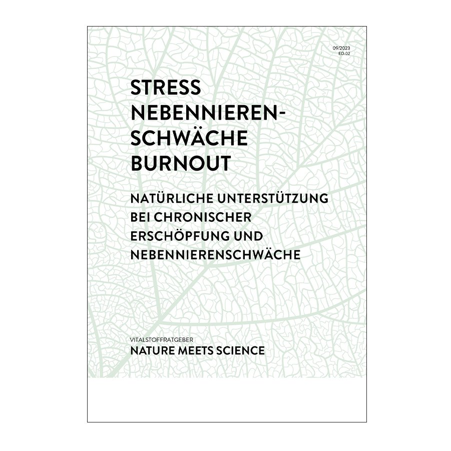 Stress & Burnout