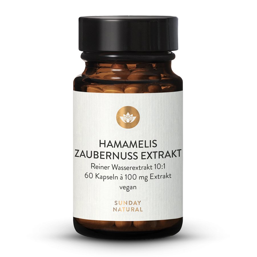 Hamamelis Zaubernuss