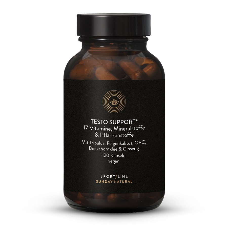 Testo Support Komplex