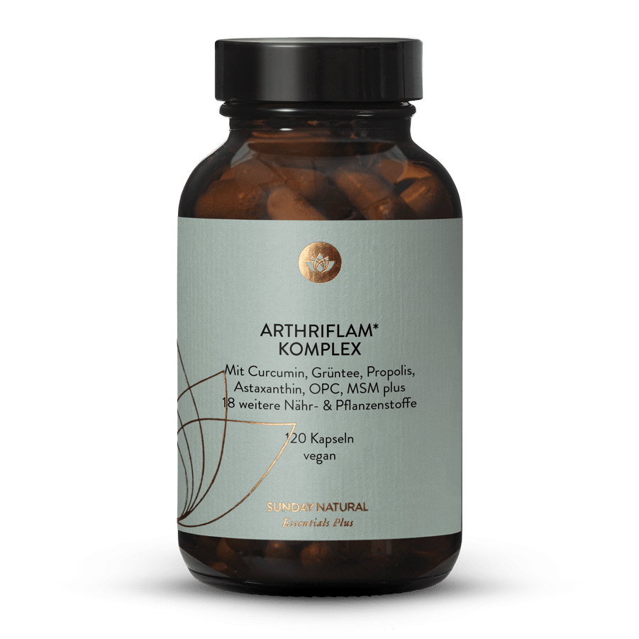 Gelenke Knochen Muskeln